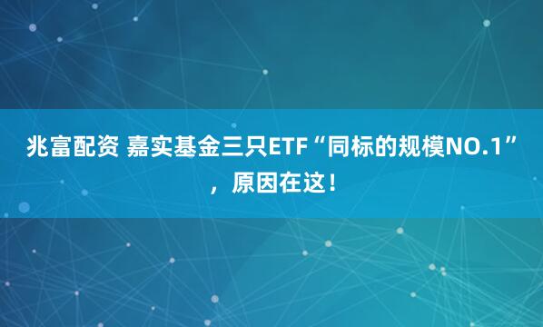 兆富配资 嘉实基金三只ETF“同标的规模NO.1”，原因在这！