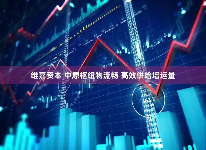 维嘉资本 中原枢纽物流畅 高效供给增运量
