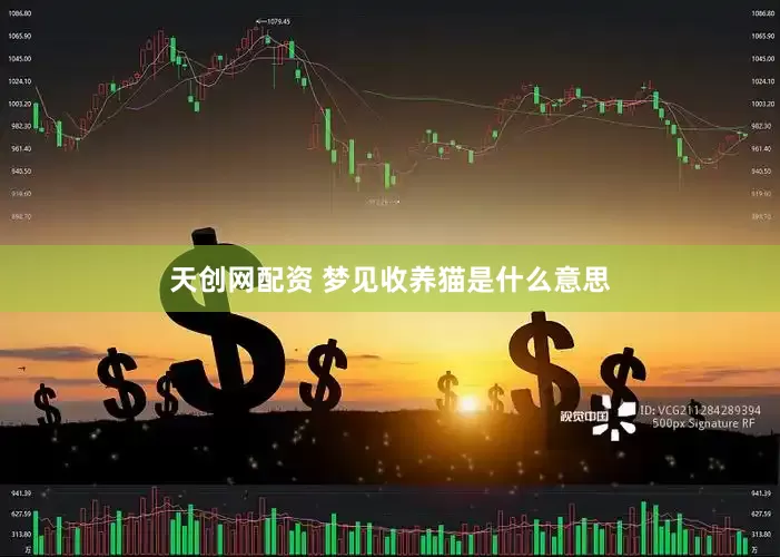 天创网配资 梦见收养猫是什么意思